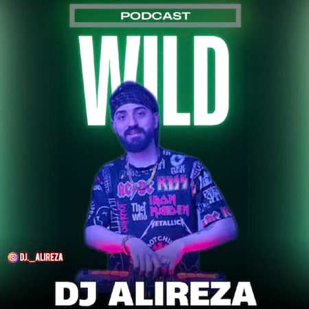 اهنگ دیجی علیرضا مینی ست ویلد