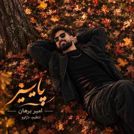 آهنگ جدید امیر برهان به نام پاییز اهنگ امیر برهان پاییز