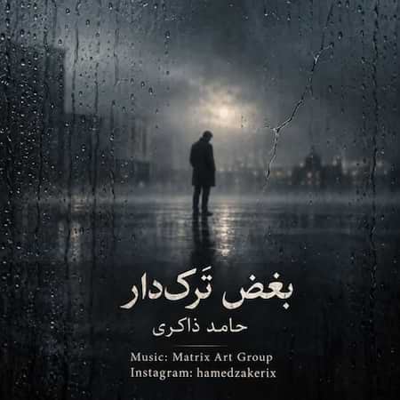 اهنگ حامد ذاکری بغض ترک‌ دار