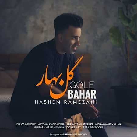 آهنگ جدید هاشم رمضانی به نام گل بهار اهنگ هاشم رمضانی گل بهار
