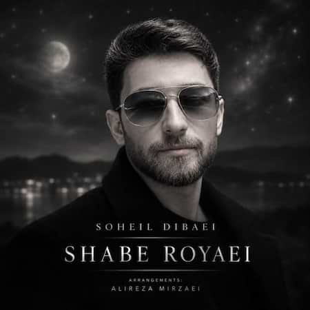 اهنگ سهیل دیبائی شب رویایی