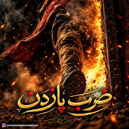 اهنگ سید محسن هاشمی نسب ضرب پا زدن